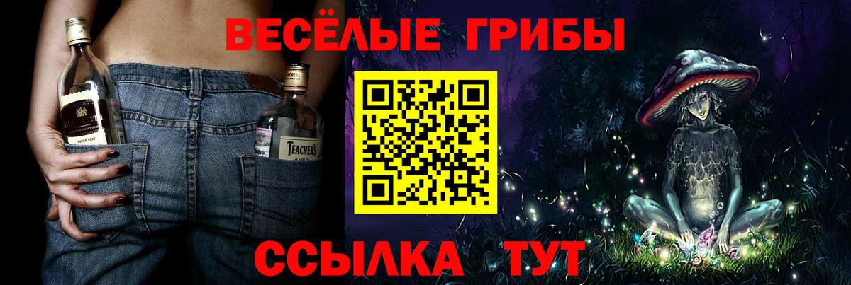 Псилоцибиновые грибы прущие грибы  Галлюциногенные грибы Magic Shrooms  Верхняя Пышма  Вход с VPN 